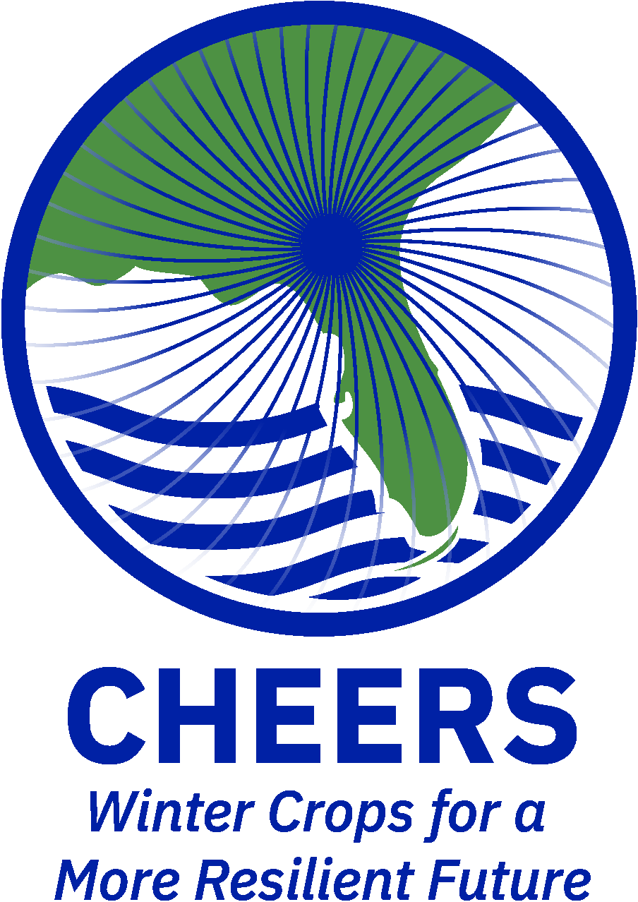 CHEERS